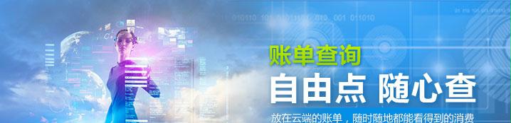 账单查询