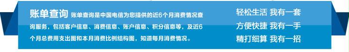 账单查询